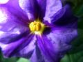 2010 05 24 jeanmarcperfetti.com 055.JPG